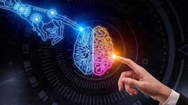 У США розслідують роботу Neuralink Маска через досліди на тваринах. Його звинувачують у вбивстві 1500 овець, свиней і мавп