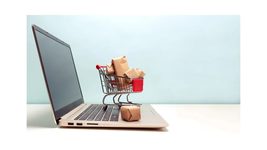 Насколько активно украинцы тратят деньги в интернете и на что: 87% потребителей считают, что покупать онлайн — легко