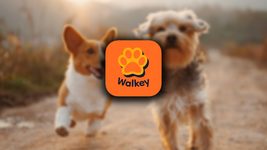 Ukrainians have released an AI app for dog owners called Walkey, which looks like a mix of Tinder and Pokémon GO