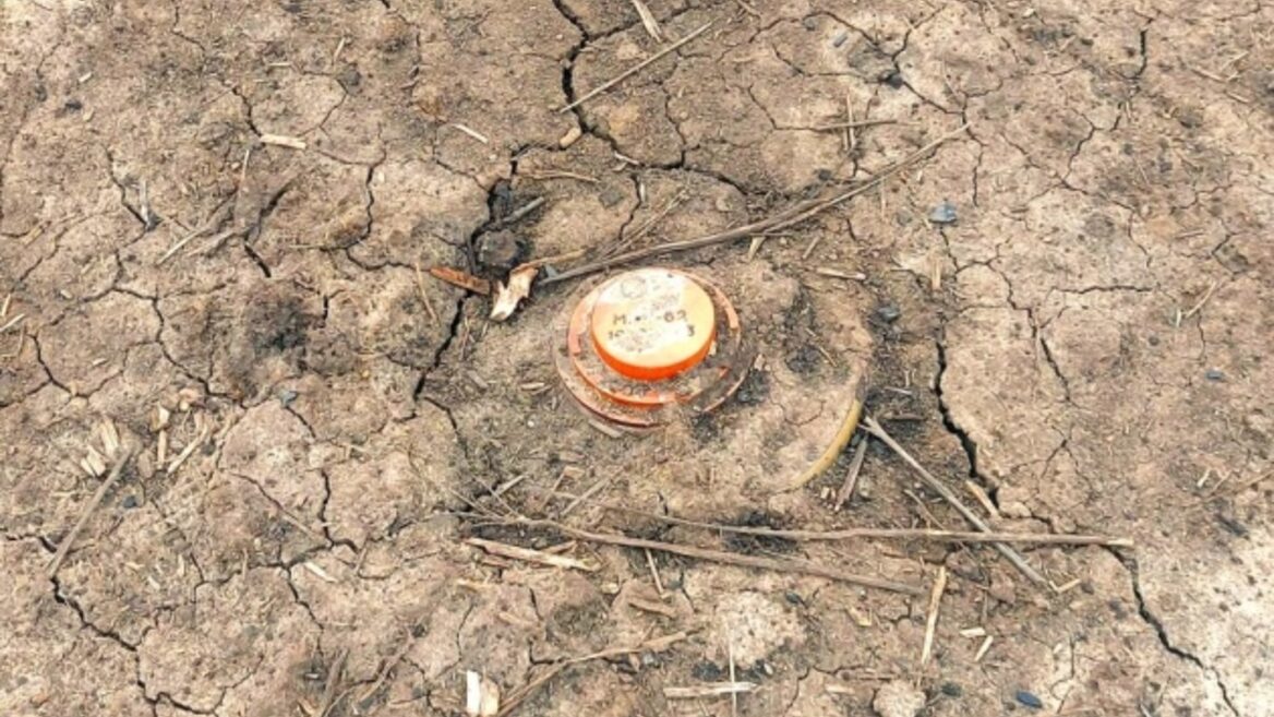 «Рукавичка сапера за $30»: студенти в Одесі створили дешеву альтернативу дорогим системам розмінування