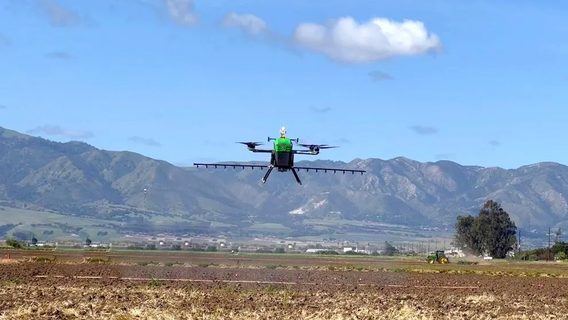 Аграрные дроны начинают заменять сельскохозяйственные самолеты для обработки полей