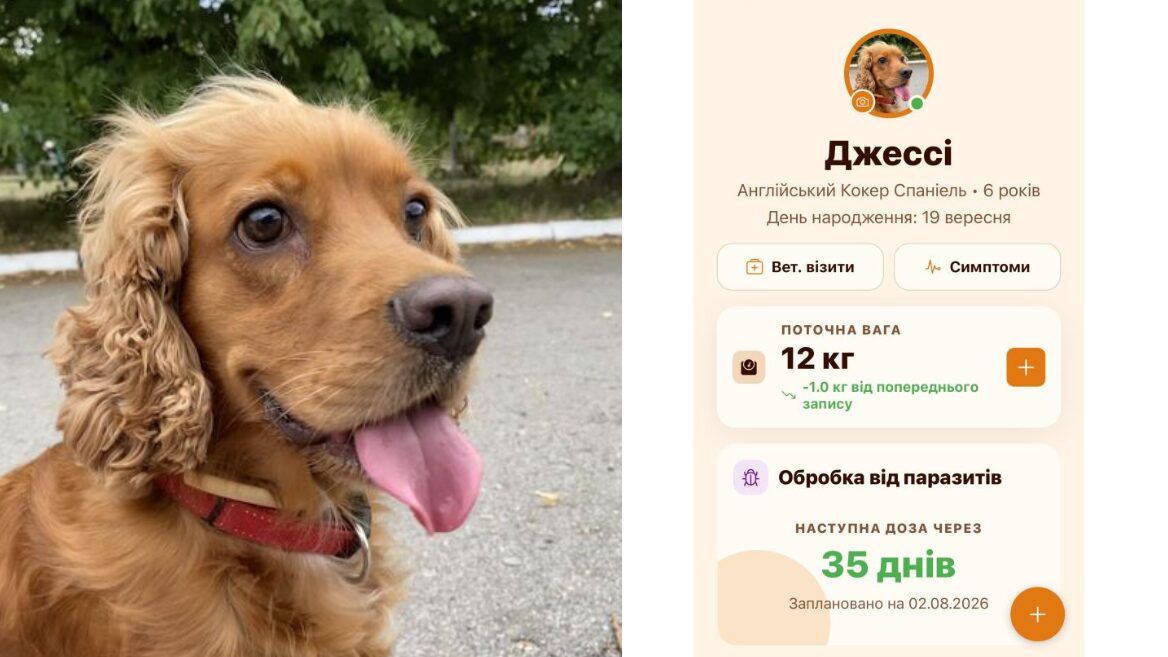 "A way to turn pain into something useful for others": a developer created an app after losing her dog. How Jess helps pet parents care for their pets