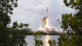 “This is the price you have to pay for these incredible events”. Elon Musk’s SpaceX could take away nudists from a Florida beach
