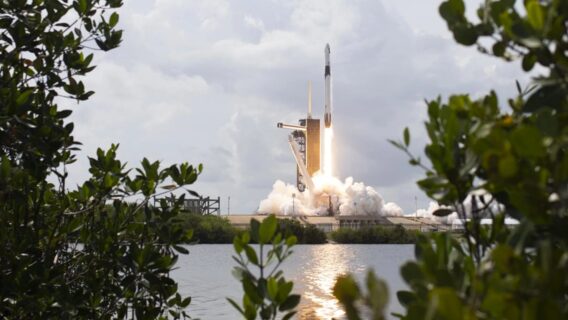 «Це ціна, яку ви повинні заплатити за ці неймовірні події». SpaceX Ілона Маска може позбавити нудистів пляжу у Флориді