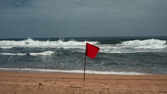 Red flags, чи оптимізація часу рекрутера? Розробник поділився переліком питань, яке надіслали на відправлене CV. Чи вважають їх прийнятними IT-фахівці?