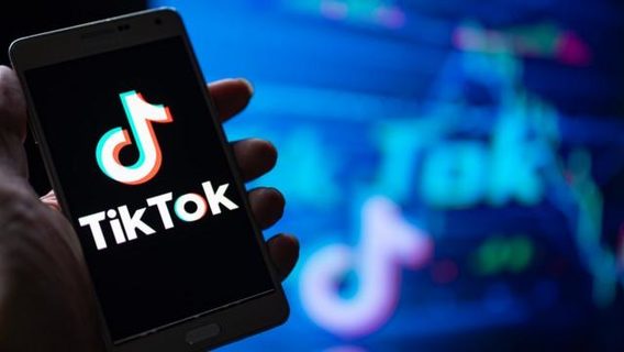 Заместитель Секретаря СНБО рассказал о «вялом диалоге» с администрацией TikTok по распространению фейков в Украине