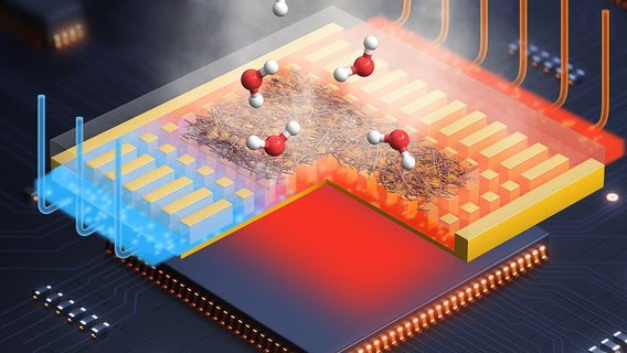Engineers in the US have created a server cooling system based on the principle of sweating