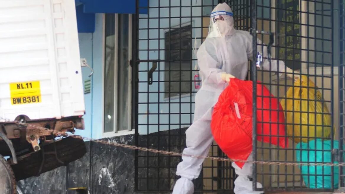 В Індії фіксують випадки смертельного вірусу Nipah: відсутні вакцина та лікування, летальність - до 75%. Що відомо і як вберегтись