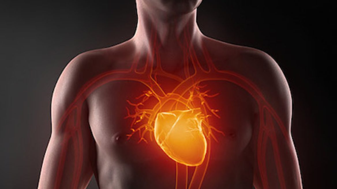 Семнадцатилетняя киевлянка разработала приложение для определения группы риска развития сердечно-сосудистых заболеваний. Как он работает