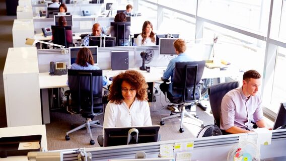 ШІ підвищує планку: роботодавці все частіше шукають початківців із «сеньйорними» навичками