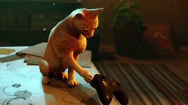 Cat saves gamer's life after NVIDIA RTX 4090 video card catches fire while he's sitting on the toilet