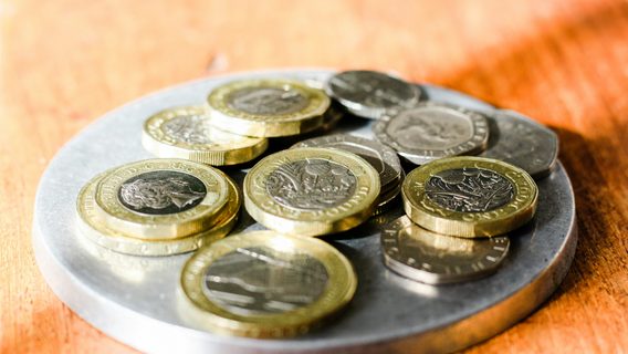 Не кавʼярнею єдиною. 10 прикладів бізнесу з бюджетом $10 000–20 000, у які б інвестували IT-спеціалісти