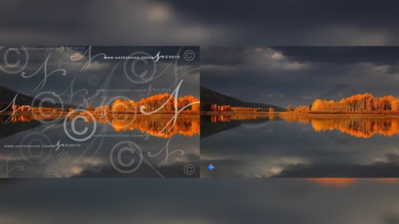 Нова ШІ-модель від Google з легкістю видаляє водяні знаки із зображень, захищених авторським правом