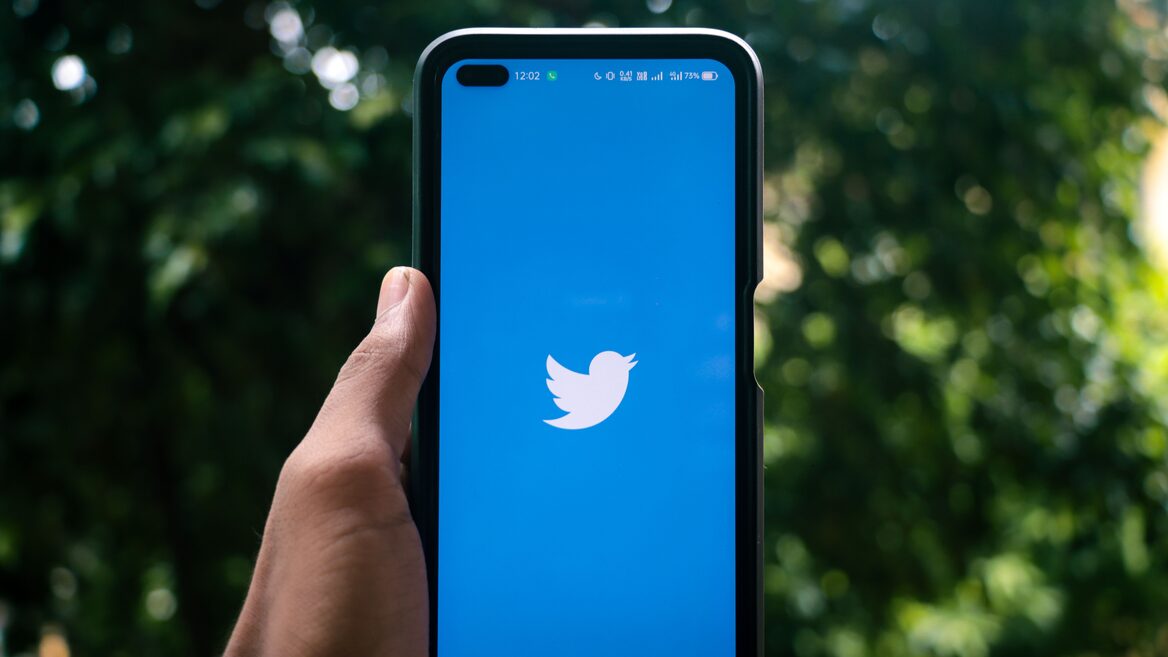 Стартап Operation Bluebird запустив «новий Twitter» із синьою пташкою попри позов X. Що буде в соцмережі?