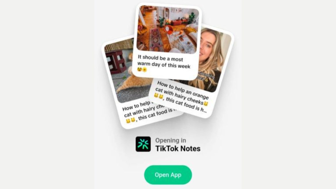 TikTok создает конкурента Instagram: что известно о новом приложении