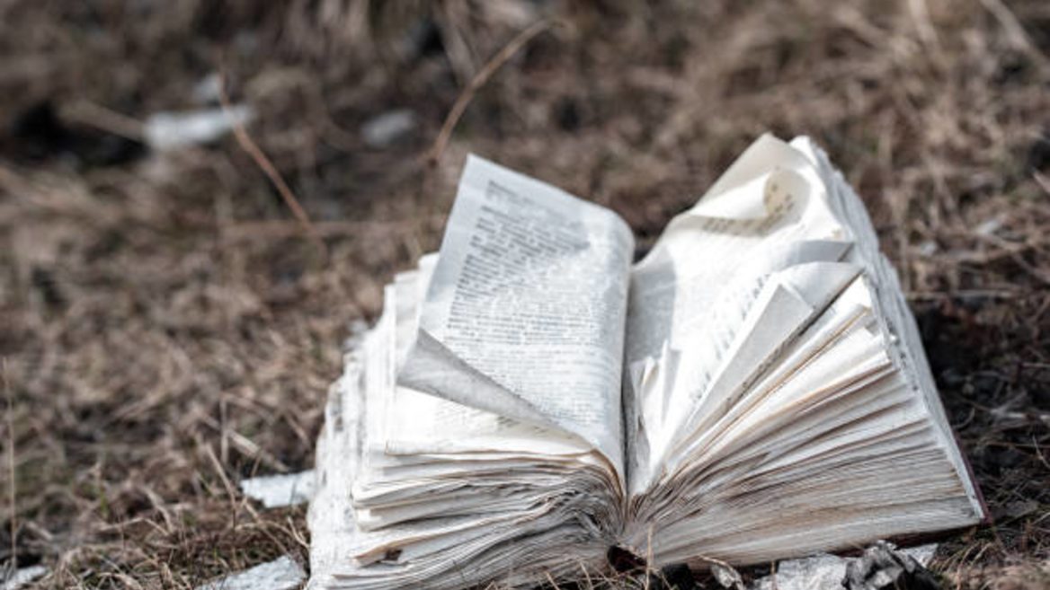 Anthropic спалила мільйони книжок заради навчання свого ШІ: суд визнав це законним
