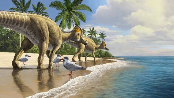 Если бы динозавры не вымерли: эволюционный биолог о том, насколько уникален человеческий разум
