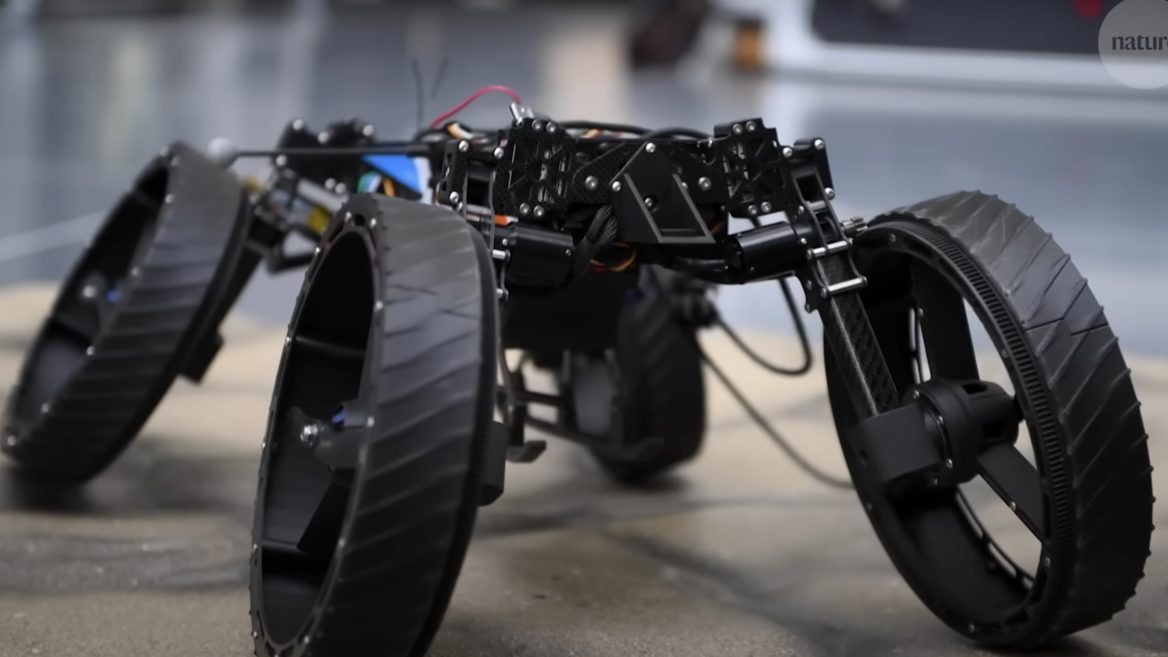 Американские исследователи создали биологического робота-трансформера, который может ползать ехать и летать и вероятно покорит Марс. Что он может