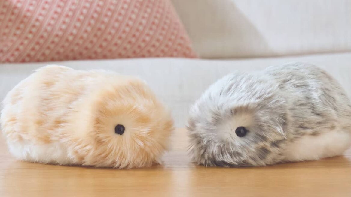 An AI animal that learns from its owner: Casio introduced the interactive toy Moflin
