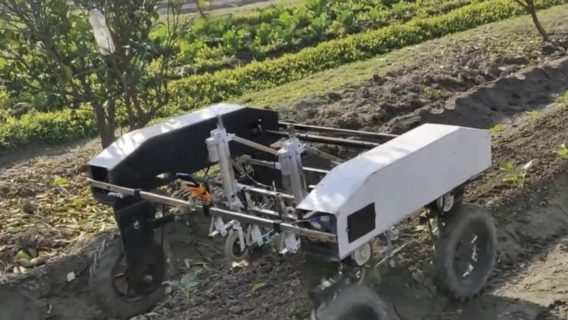 Boston Dynamics передала на Хмельниччину платформу від марсохода. Тепер вона допомагає вирощувати огірки
