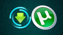 Франковский программист, в 2017 году якобы сливавший детское порно на Torrent, решил обжаловать приговор. Суд вместо оправдания забрал у него системный блок
