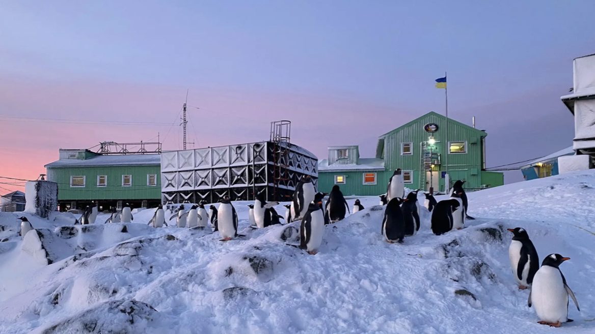 На станцію «Академік Вернадський» в Антарктиді шукають сисадміна. Ось вимоги до кандидата