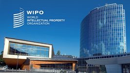 Украинец присвоил название американской соцсети для геев и бисексуалов, и запустил собственные сайты. Что было дальше