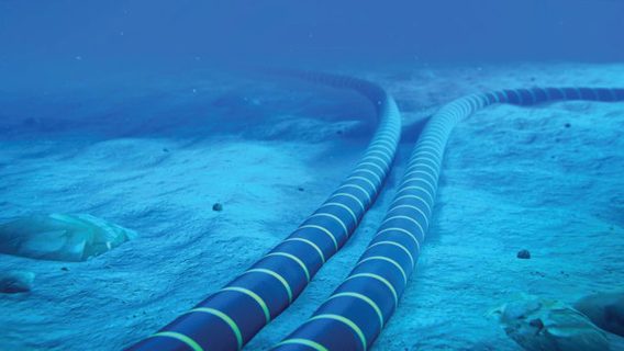 Как работают подводные кабели, от которых зависит работа интернета в мире? Может ли война в Красном море создать глобальный коллапс сети? Разбор