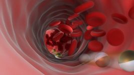 Microrobots can replace injection needles: scientists from the US and China presented a new technology