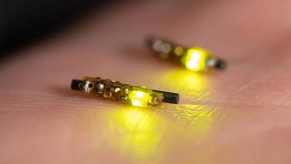 Розміром із рисове зернятко: новий LED-пристрій використовує світло для знищення глибоких форм раку