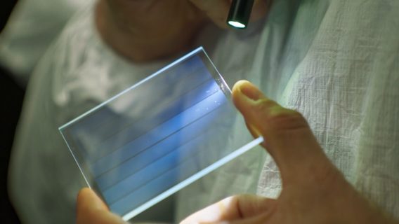 В Microsoft создали стеклянную пластину, на которой можно хранить данные в течение 10 000 лет