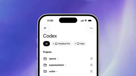 Over 29,000 downloads: Fake OpenAI Codex tool in npm repository leads to massive theft of authentication tokens