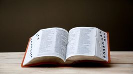 Украинский разработчик создал приложение для изучения английских слов Dictionary, где каждый может сформировать личный словарь
