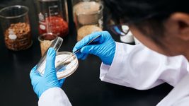 Український біотехнологічний стартап Mycelia Tech вирощує «грибну шкіру» як замінник тваринної 