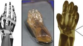 American scientists have 3D-printed a realistic human hand. It seems that anatomy students will no longer need cadavers to study.