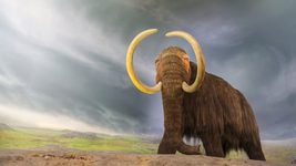 На тлі божевілля Ілона Маска Mastodon переманив із Twitter понад 2 млн користувачів
