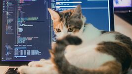 Компанії все частіше наймають фрилансерів, щоб виправляти роботу ШІ. На Freelancer.com таких вакансій стало на 87% більше