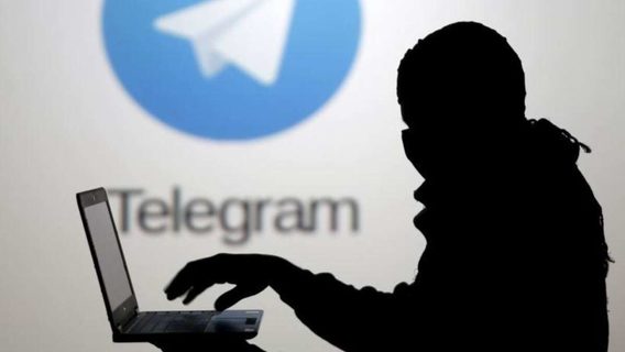 В Україні працює представник Telegram, який має повноваження звертатися до керівництва соцмережі. Хто він 