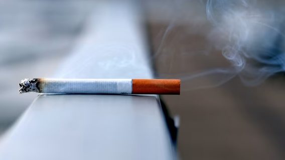 В Україні створять портал «еТютюн» для курців і виробників: яка його функція й коли запрацює