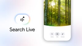 Google launches Live Search feature with voice and camera in Ukraine