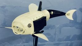 Робот-рибка від англійської студентки фільтрує воду від мікропластику